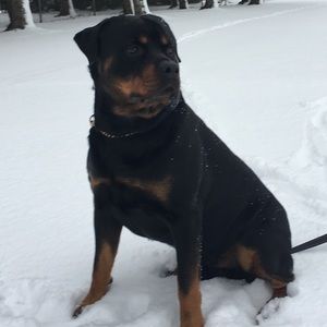 Meet your Posher, Amara